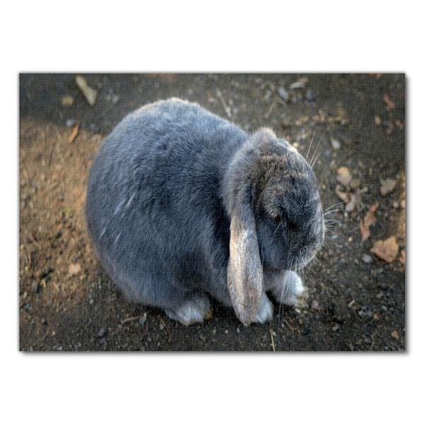 Produktbild: Lais Puzzle Kaninchen 1000 Teile