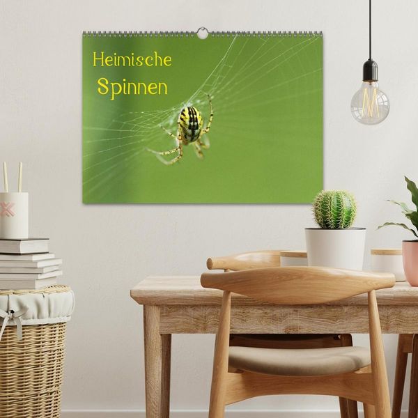 Produktbild: Heimische Spinnen (Wandkalender 2027 DIN A3 quer), CALVENDO Monatskalender