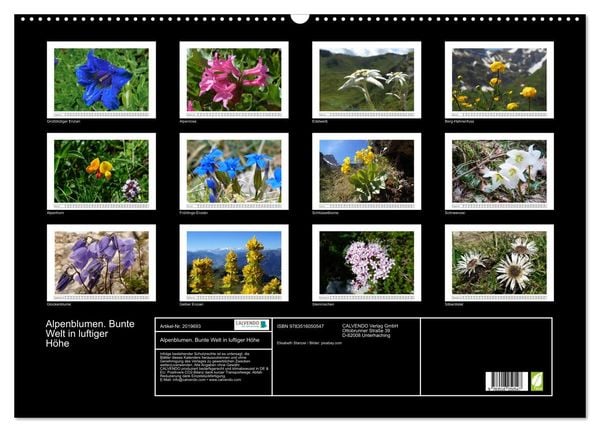 Produktbild: Alpenblumen. Bunte Welt in luftiger H&ouml;he (Wandkalender 2026 DIN A2 quer), CALVENDO Monatskalender