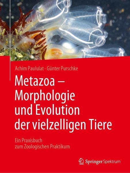 Produktbild: Metazoa - Morphologie und Evolution der vielzelligen Tiere