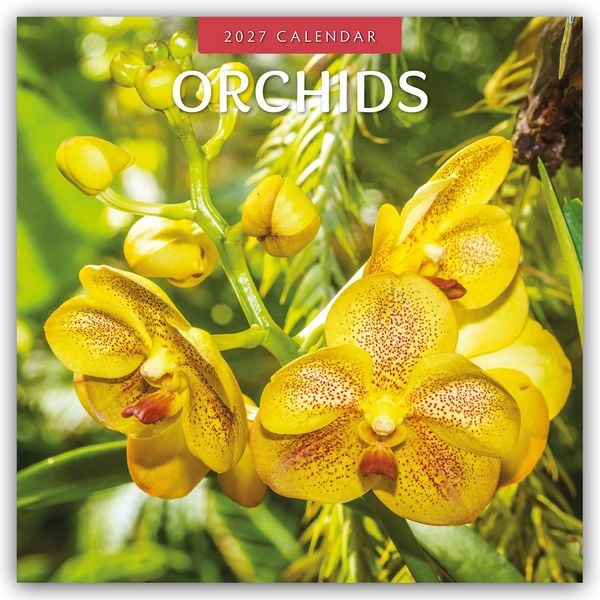 Produktbild: Orchids &ndash; Orchideen 2027 &ndash; 16-Monatskalender