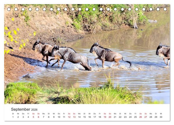 Produktbild: Kenia - Ein Land wie Afrika (Tischkalender 2026 DIN A5 quer), CALVENDO Monatskalender