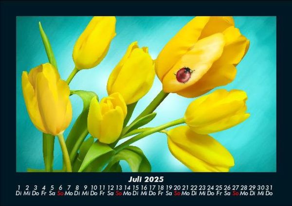 Produktbild: Blumenkalender 2025 Fotokalender DIN A5