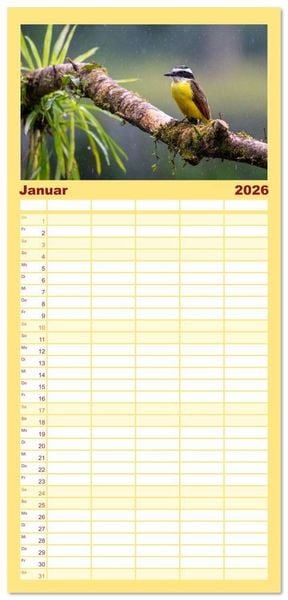 Produktbild: Familienplaner 2026 - Phantastische Vogelwelt Costa Rica mit 5 Spalten (Wandkalender, 21 x 45 cm) CALVENDO