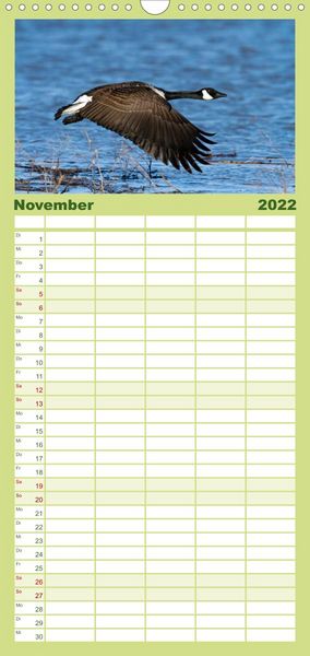 Produktbild: KANADA-GANS - Der 'hupende' Vogel - Familienplaner hoch (Wandkalender 2022 , 21 cm x 45 cm, hoch)