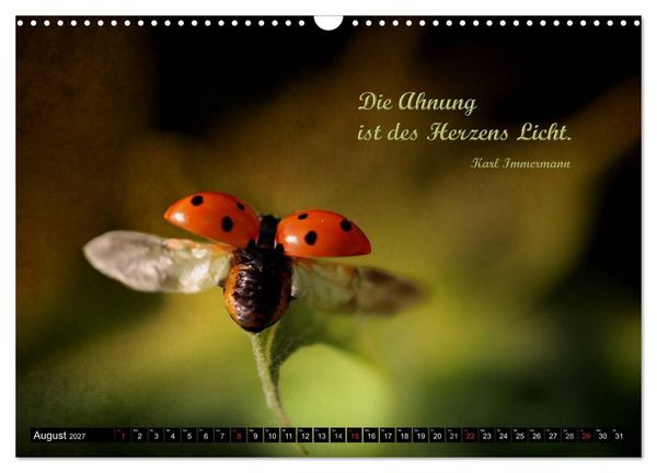 Produktbild: Das kleine, gro&szlig;e Gl&uuml;ck (Wandkalender 2027 DIN A3 quer), CALVENDO Monatskalender