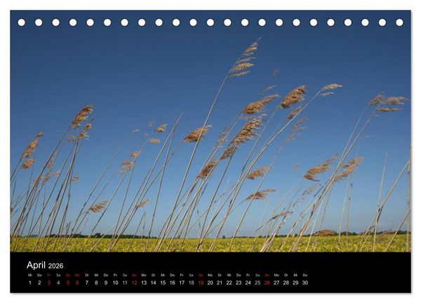 Produktbild: Wunderbare Nordsee (Tischkalender 2026 DIN A5 quer), CALVENDO Monatskalender