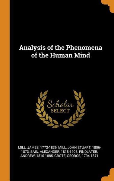Produktbild: Analysis Of The Phenomena Of T