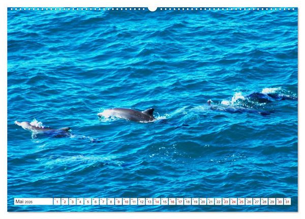 Produktbild: K&uuml;stenparadies - Noosa Nationalpark Australien (hochwertiger Premium Wandkalender 2026 DIN A2 quer), Kunstdruck in Hochglanz