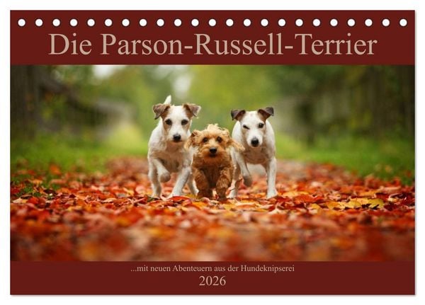 Produktbild: Die Parson-Russell-Terrier ...mit neuen Abenteuern aus der Hundeknipserei (Tischkalender 2026 DIN A5 quer), CALVENDO Monatskalender