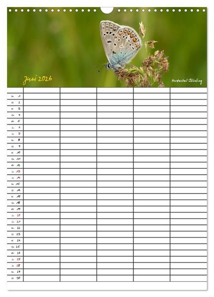 Produktbild: Schmetterlinge in Bayern (Wandkalender 2026 DIN A3 hoch), CALVENDO Monatskalender