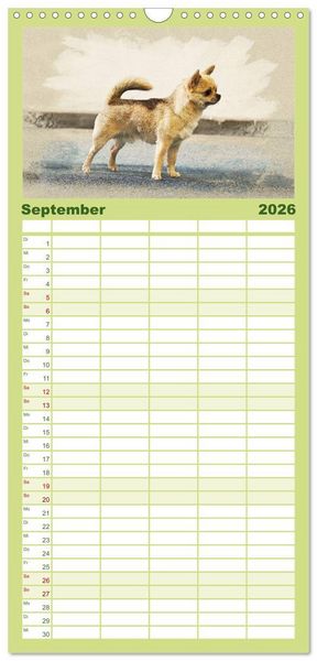 Produktbild: Familienplaner 2026 - Chihuahuas 2026 mit 5 Spalten (Wandkalender, 21 x 45 cm) CALVENDO