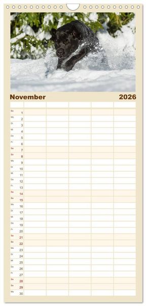 Produktbild: Familienplaner 2026 - Labrador Retriever - Freunde f&uuml;r&acute;s Leben mit 5 Spalten (Wandkalender, 21 x 45 cm) CALVENDO