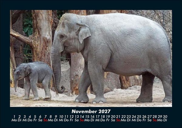 Produktbild: Welt der Tiere 2027 Fotokalender DIN A5