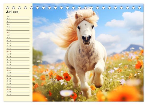 Produktbild: Kleine Pferde. Mini-Ponys zum verlieben (Tischkalender 2026 DIN A5 quer), CALVENDO Monatskalender