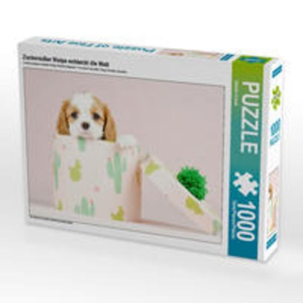 CALVENDO Puzzle Zuckersüßer Welpe entdeckt die Welt | 1000 Teile Lege-Größe 64x48cm Foto-Puzzle für glückliche Stunden