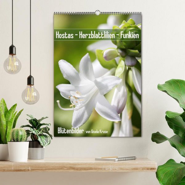 Produktbild: Hostas Herzblattlilien Funkien (Wandkalender 2026 DIN A2 hoch), CALVENDO Monatskalender