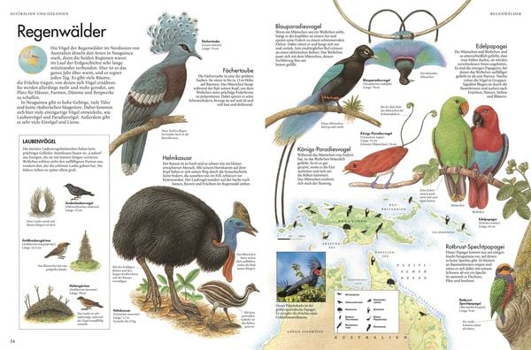 Produktbild: Atlas der V&ouml;gel