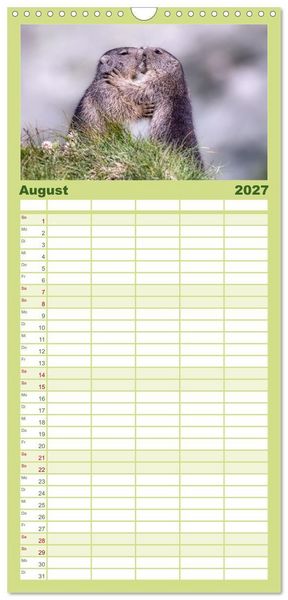 Produktbild: Familienplaner 2027 - Tiere der Alpen - Murmeltier-Kinder mit 5 Spalten (Wandkalender, 21 x 45 cm) CALVENDO