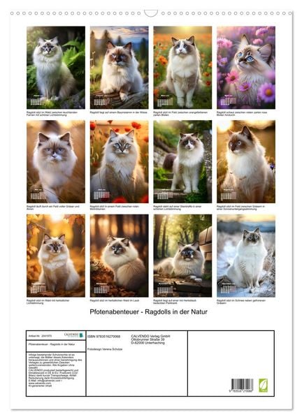 Produktbild: Pfotenabenteuer - Ragdolls in der Natur (Wandkalender 2026 DIN A2 hoch), CALVENDO Monatskalender