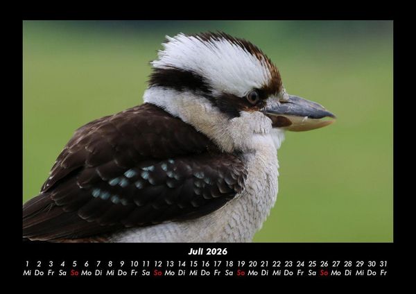 Produktbild: Vogelparadies 2026 Fotokalender DIN A3
