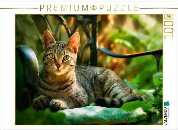 CALVENDO Puzzle Der Blick sagt alles | 1000 Teile Lege-Größe 64 × 48 cm Foto-Puzzle für glückliche Stunden
