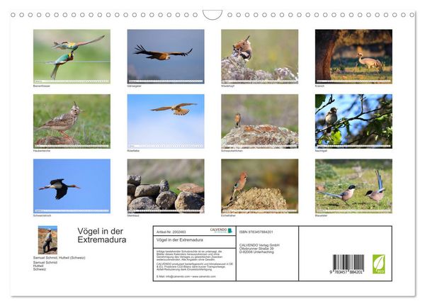 Produktbild: V&ouml;gel in der Extremadura (Wandkalender 2026 DIN A3 quer), CALVENDO Monatskalender