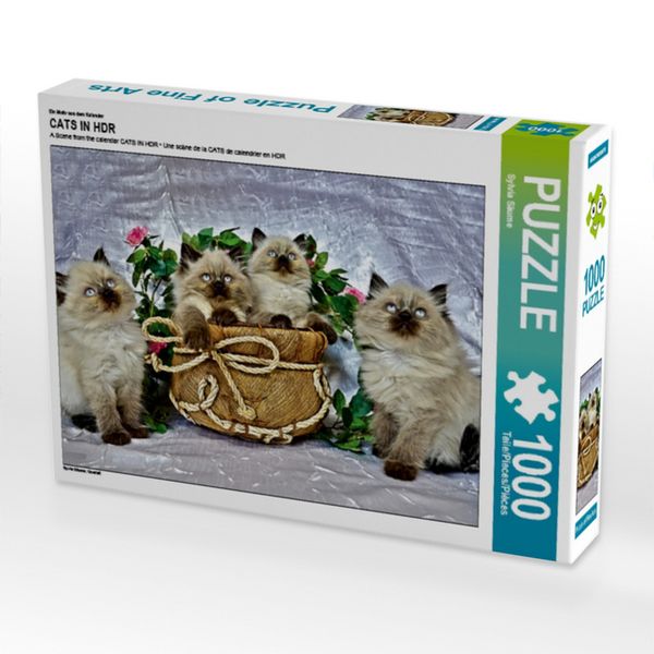 CALVENDO Puzzle Ein Motiv aus dem Kalender CATS IN HDR | 1000 Teile Lege-Größe 64x48cm Foto-Puzzle für glückliche Stunden