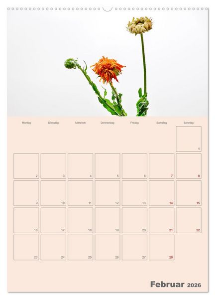 Produktbild: Blumenmetamorphosen (Wandkalender 2026 DIN A2 hoch), CALVENDO Monatskalender