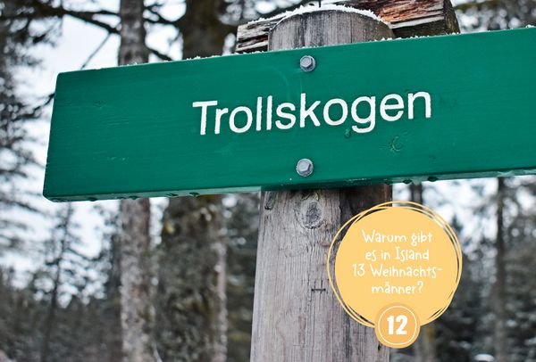 Produktbild: Mein WAS IST WAS Adventskalenderbuch 2