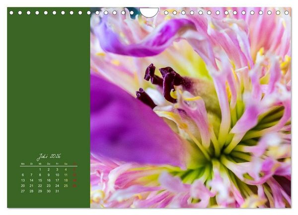 Produktbild: Bl&uuml;tenstil (Wandkalender 2026 DIN A4 quer), CALVENDO Monatskalender