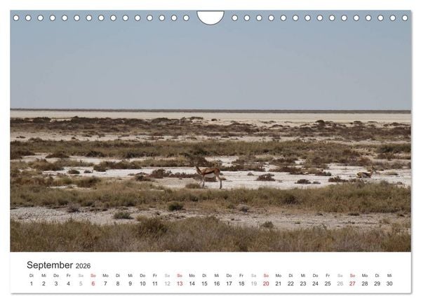 Produktbild: Namibia - Landschaftseindr&uuml;cke (Wandkalender 2026 DIN A4 quer), CALVENDO Monatskalender
