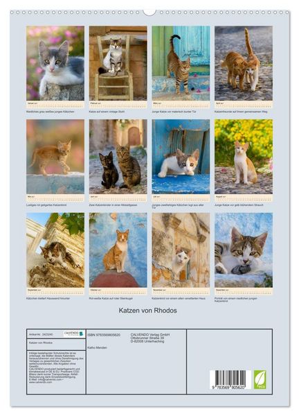 Produktbild: Katzen von Rhodos (hochwertiger Premium Wandkalender 2027 DIN A2 hoch), Kunstdruck in Hochglanz