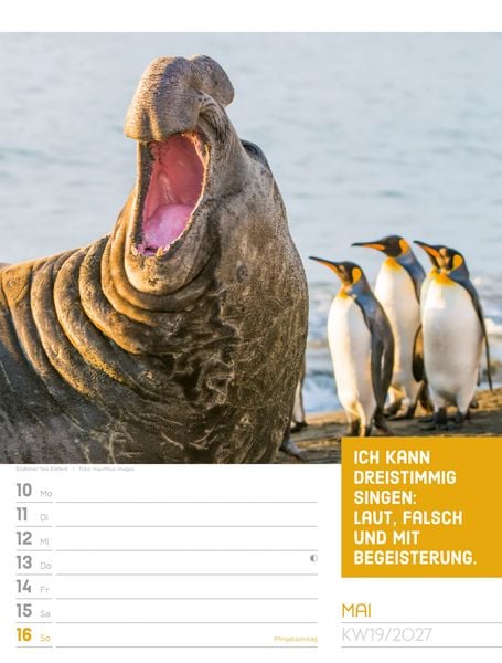 Produktbild: Tierisch Spr&uuml;chekalender Wochenplaner 2027