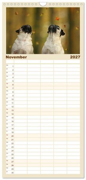 Produktbild: Familienplaner 2027 - Lustige M&ouml;pse aus der Hundeknipserei mit 5 Spalten (Wandkalender, 21 x 45 cm) CALVENDO
