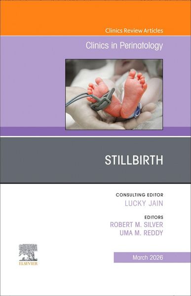 Produktbild: Stilbirth, an Issue of Clinics in Perinatology