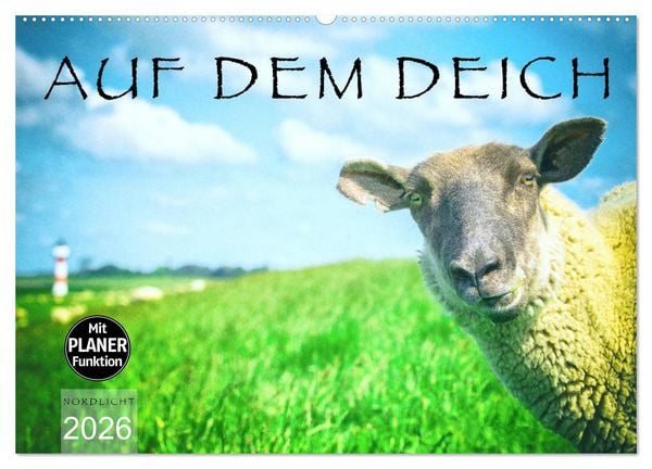 Produktbild: AUF DEM DEICH (Wandkalender 2026 DIN A2 quer), CALVENDO Monatskalender