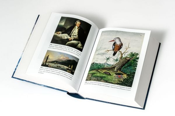 Produktbild: Forster - Reise um die Welt