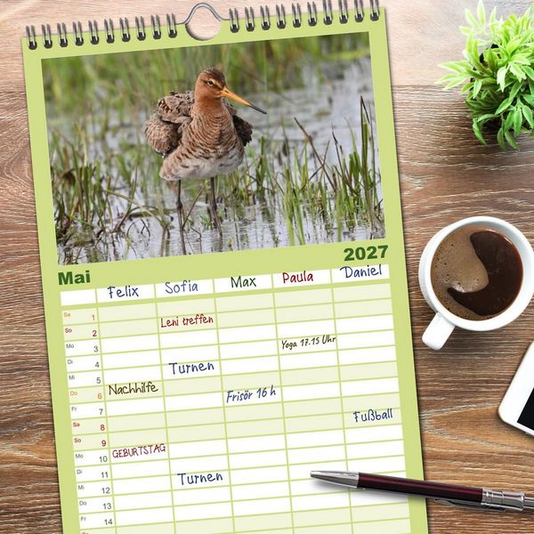 Produktbild: Familienplaner 2027 - Die bedrohten Uferschnepfen mit 5 Spalten (Wandkalender, 21 x 45 cm) CALVENDO