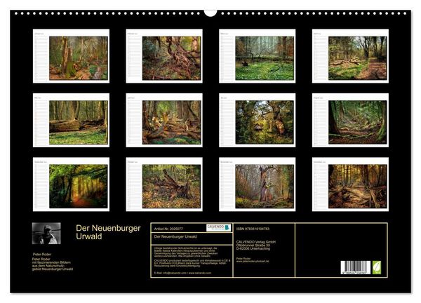 Produktbild: Der Neuenburger Urwald (Wandkalender 2026 DIN A2 quer), CALVENDO Monatskalender