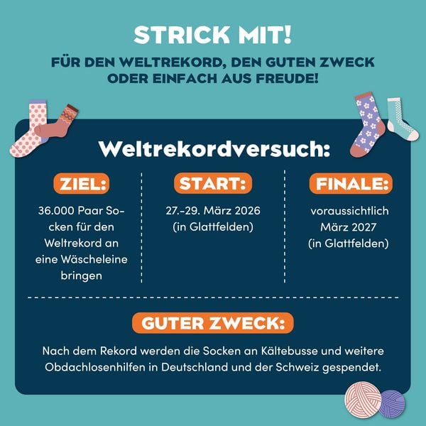 Produktbild: Auf die Socken, fertig, Weltrekord!