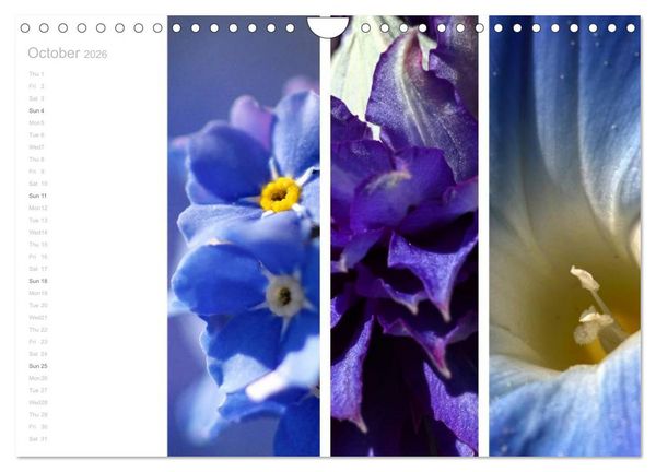 Produktbild: Natural Trios (Wall Calendar 2026 DIN A4 landscape), CALVENDO 12 Month Wall Calendar