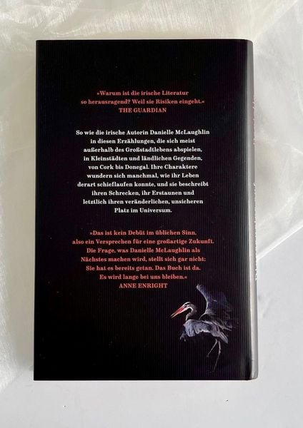 Produktbild: Dinosaurier auf anderen Planeten