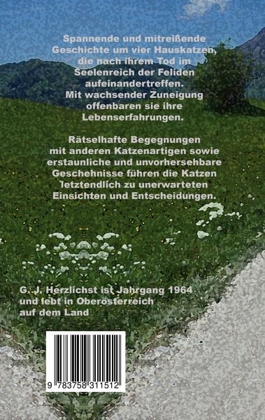 Produktbild: Wo alle Katzen hingehen