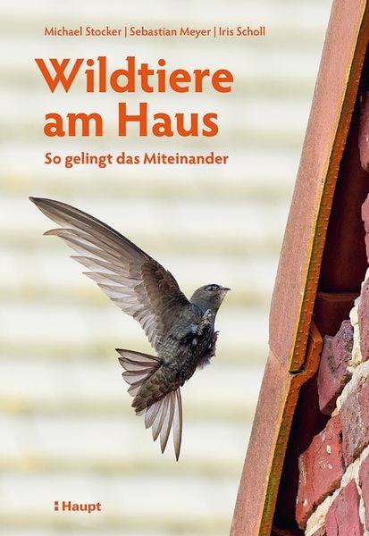 Wildtiere am Haus, Taschenbuch von Michael Stocker , Sebastian Meyer , Iris Scholl, Haupt Verlag, 9783258084589