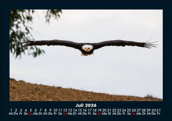 Produktbild: Adler 2026 Fotokalender DIN A5