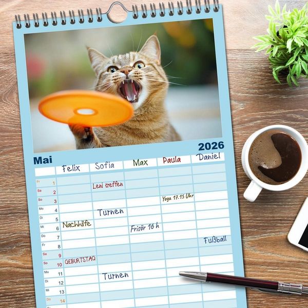 Produktbild: Familienplaner 2026 - Lustige Sportarten f&uuml;r Katzen mit 5 Spalten (Wandkalender, 21 x 45 cm) CALVENDO