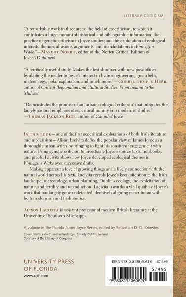 Produktbild: The Ecology of Finnegans Wake