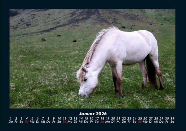 Produktbild: Die Welt der Pferde 2026 Fotokalender DIN A4