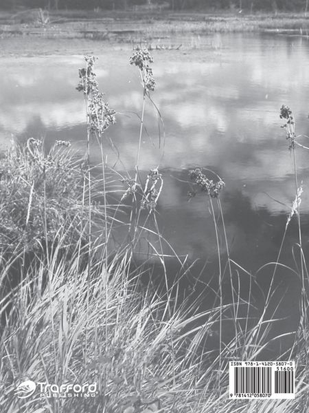 Produktbild: Reflections Through a Special Lens